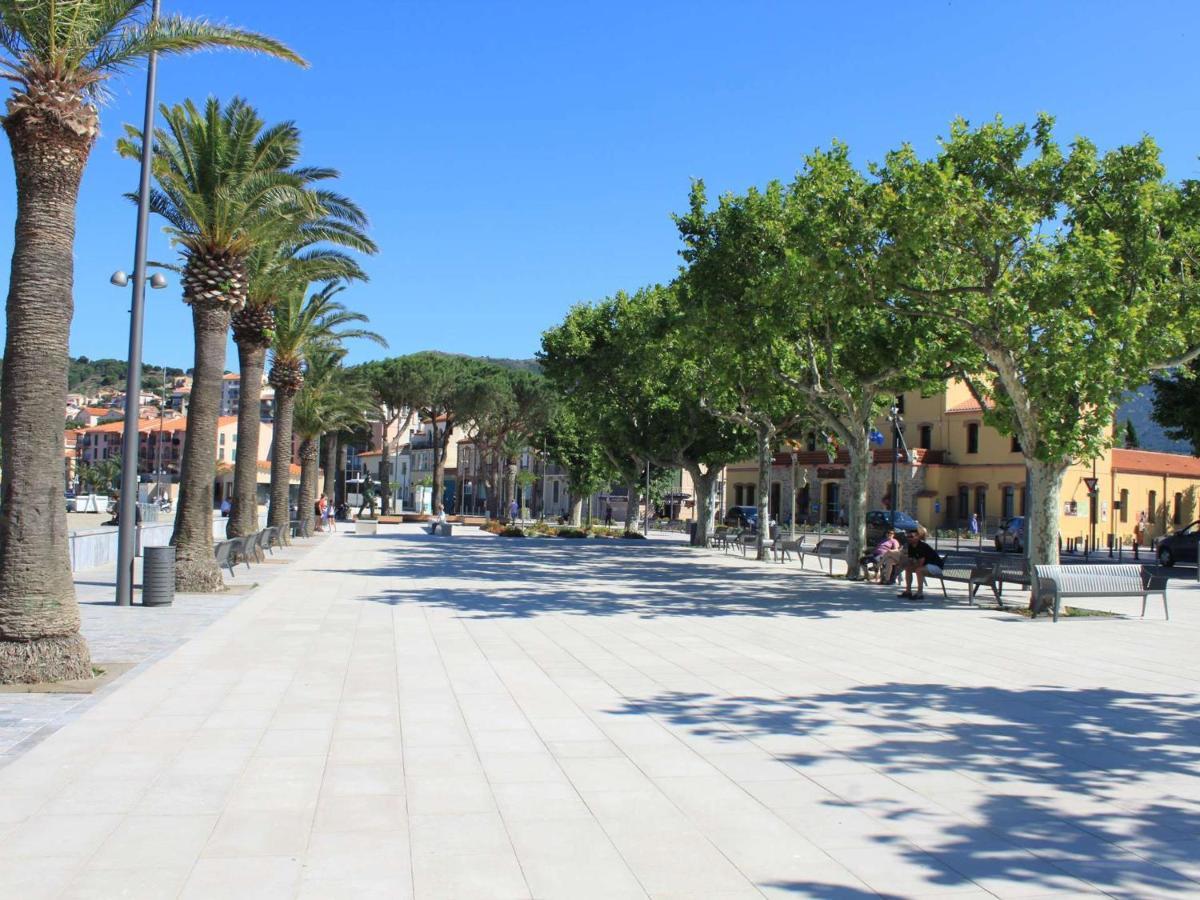 Appart T1 A 250M Plage, Clim, Wifi, Parking, Centre Banyuls - Fr-1-225C-75 Exterior foto